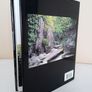 Creating Japanese Gardens by Philip Cave (PT54) Image 7