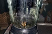 Large 1500ml Crofton glass blender