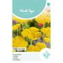 HT Achillea, Yarrow Cloth Of Gold seeds 0.25g (525004) Image 2