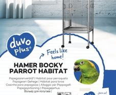 Parrot Cage