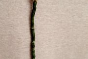 Dark green necklace