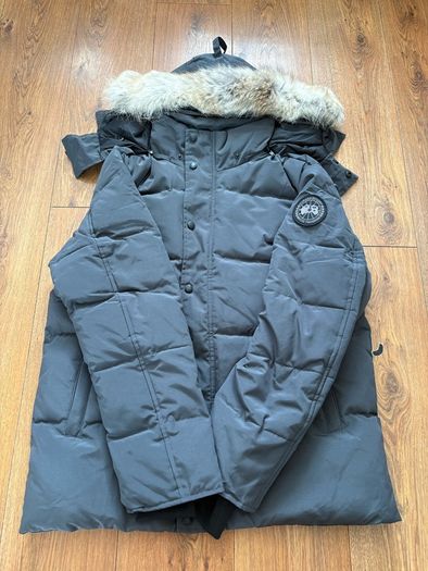 canada goose
