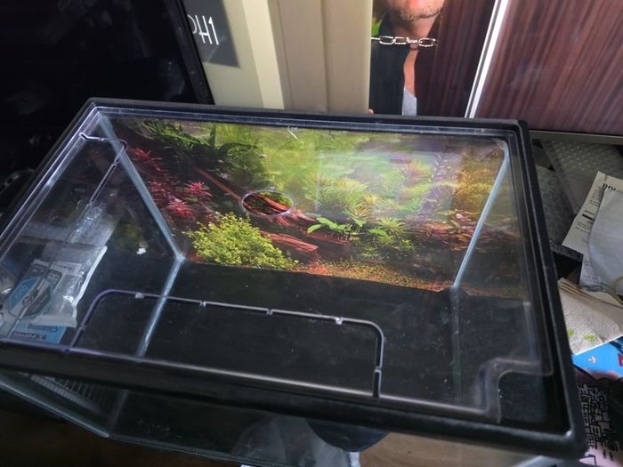 Small Fish tank