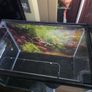 Small Fish tank Image 2
