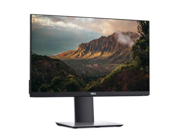 HP 22" Monitor