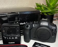 Canon EOS R6 Mark II (Body Only) + Canon adapter