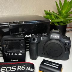 Canon EOS R6 Mark II (Body Only) + Canon adapter