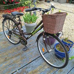 ladies city bike