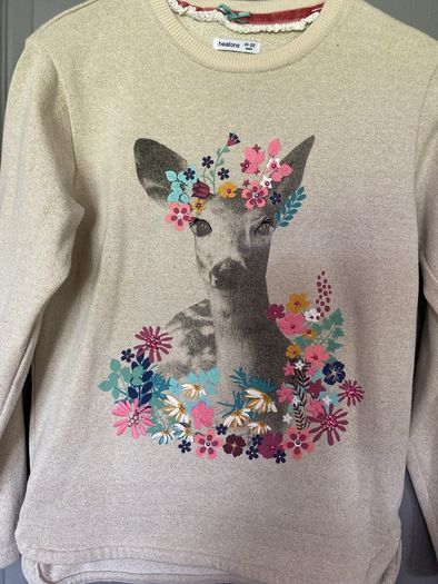 girls jumper