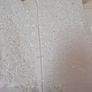 Girls Large/Plus size Communion Dress Image 6