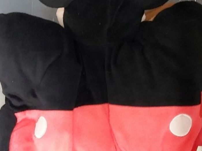 Mickey Mouse ; Disney Pet pillow (1083)