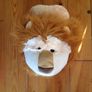 BNWT Comfy Feet Lion Massage Slipper Image 2