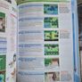 Pokemon Black and White Strategy Guide and Pokedex Image 4