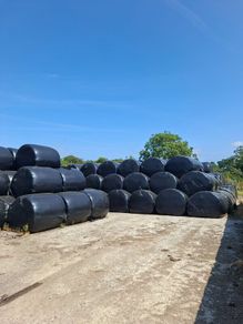 Silage bales