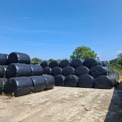Silage bales