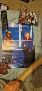 WWE Roman Reigns Poster
