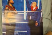 WWE Roman Reigns Poster
