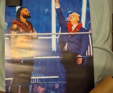 WWE Roman Reigns Poster