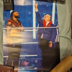 WWE Roman Reigns Poster