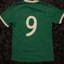 Republic Of Ireland Match Worn / Issue 2010 2011 Home Jersey Shirt Umbro Image 10