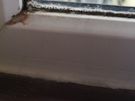 Cleaning / Disinfection / High Standard Image 5