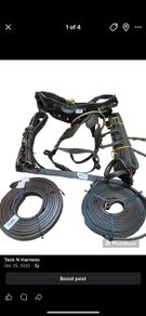 equestrian