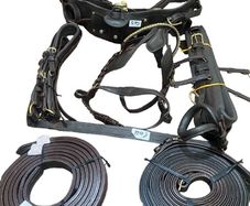 equestrian