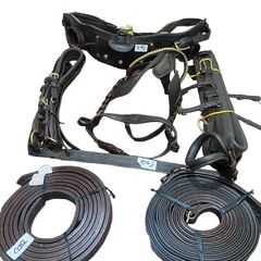 equestrian