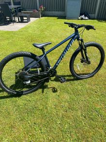 specialized