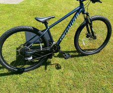 specialized