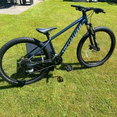 specialized