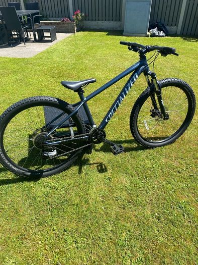 specialized