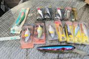 Fishing