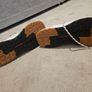 Columbia womens trainers size 7 Image 4