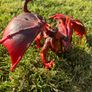 Schleich Eldrador Lava Dragon Image 9