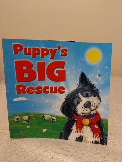 Large Collection Of Children,s Story Books