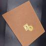 Old Swiss Stamp Album Image 5
