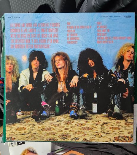 Guns N' Roses "Appetite For Destruction Alternative Album" Vinyl Album