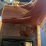 Takamine Image 7