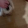ugg boots Image 3