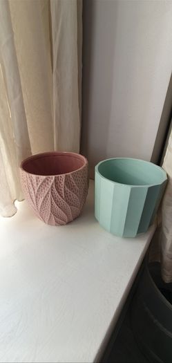 Indoor plants