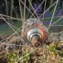 Fixie rear wheel, Fixed gear, single speed. Image 6