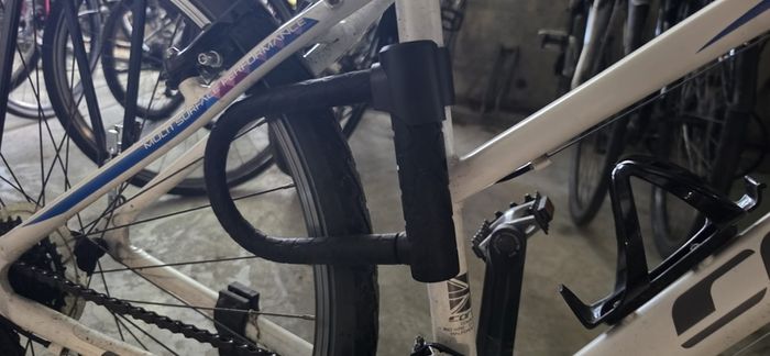 Carrera Hibrid/mountain Bike