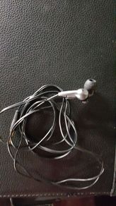 Ear Pollution