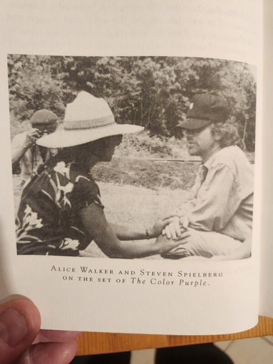 The Same River Twice. Honoring The Difficult. By Alice Walker  Hardback With Dustjacket In Good Condition.