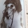 New hardback book animals antics Image 5