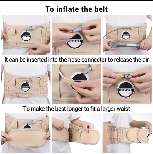 Back Belt