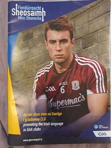 Irish Language GAA Booklet