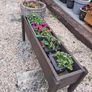 Garden Planter Image 2