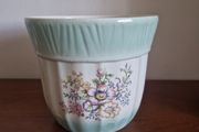 indoor flower pot